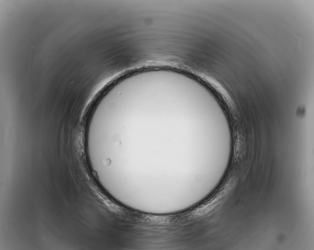 X0000100200878200805300745