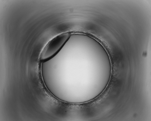X0000100200880200805300745