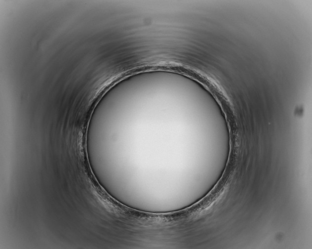 X0000100200881200805300745