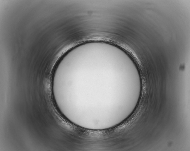 X0000100200882200805300745