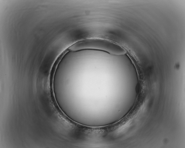 X0000100200884200805300745