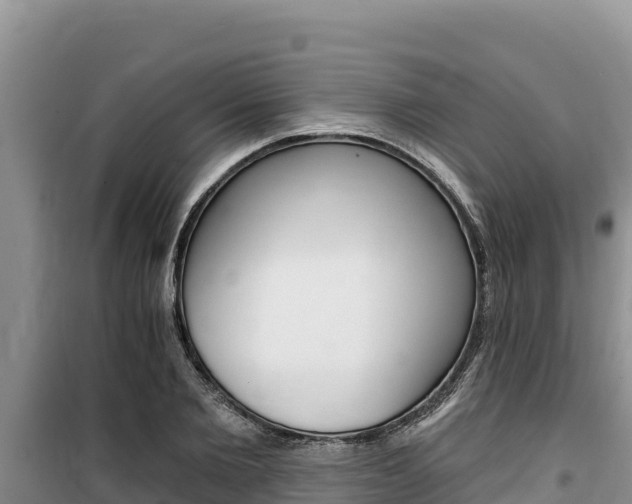 X0000100200885200805300744