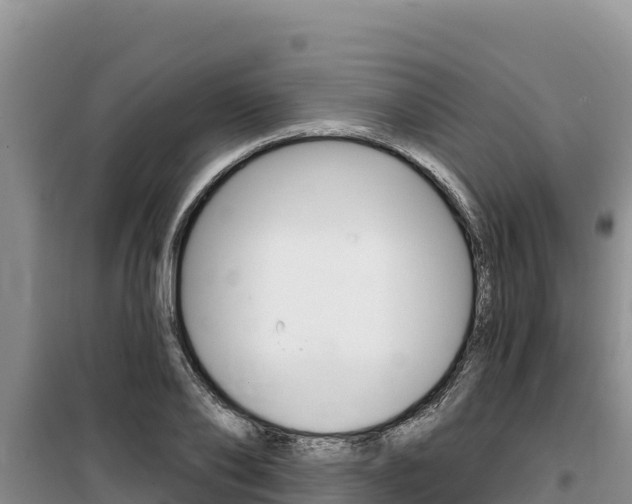 X0000100200886200805300744