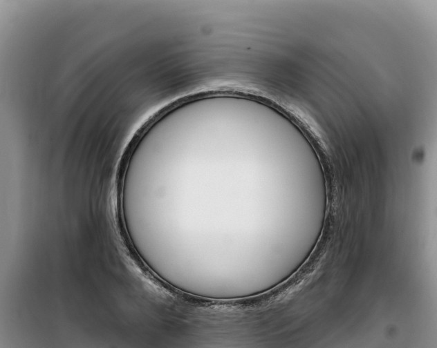 X0000100200888200805300744
