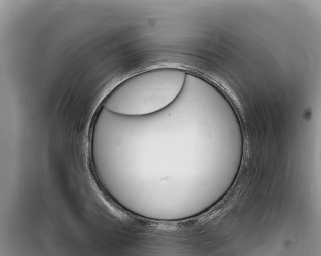 X0000100200890200805300744