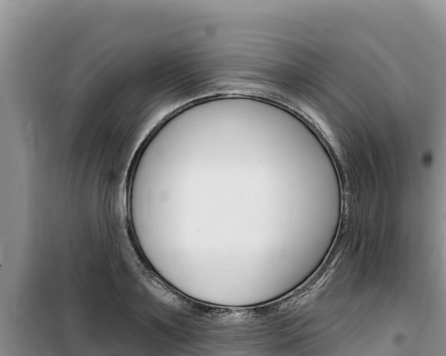 X0000100200891200805300744