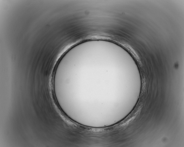 X0000100200893200805300744