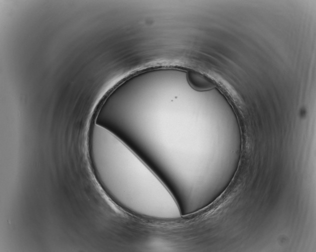 X0000100200894200805300744