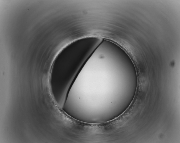 X0000100200896200805300744