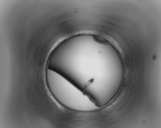 X0000100200898200805300744