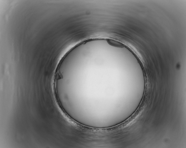 X0000100200901200805300744