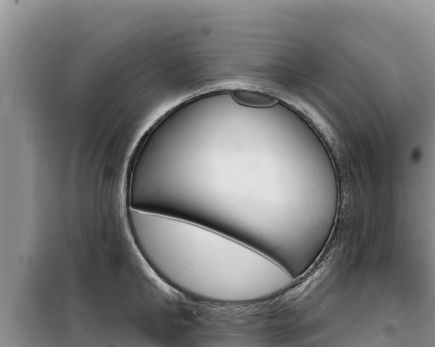 X0000100200902200805300744