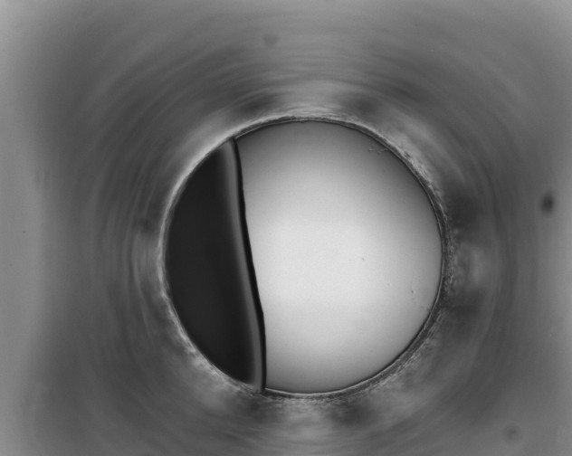 X0000100200904200805300744
