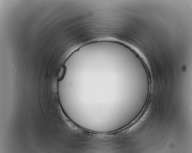 X0000100200905200805300744