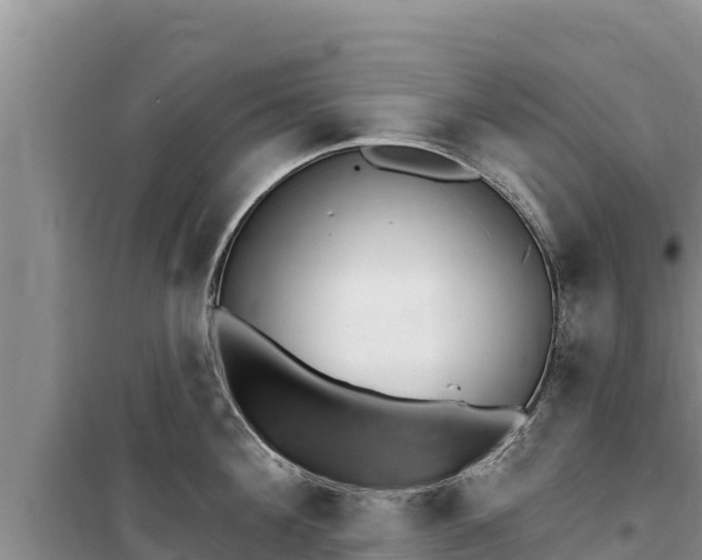 X0000100200908200805300744
