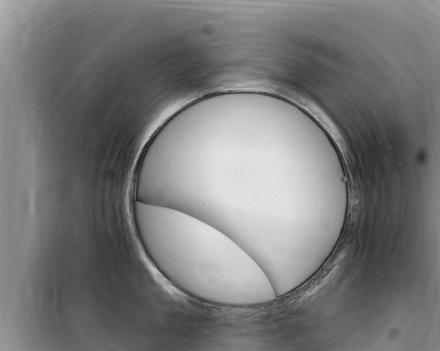 X0000100200909200805300744