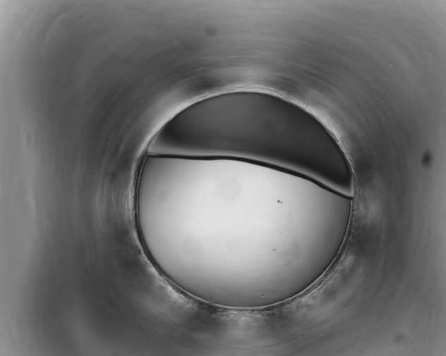 X0000100200910200805300744