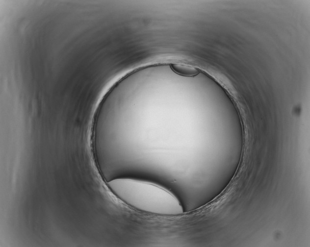 X0000100200912200805300744