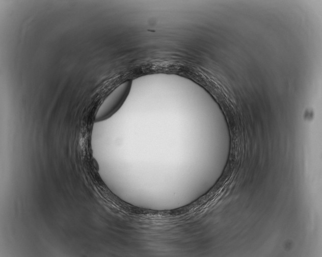 X0000100200914200805300743