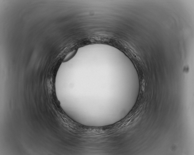 X0000100200915200805300743