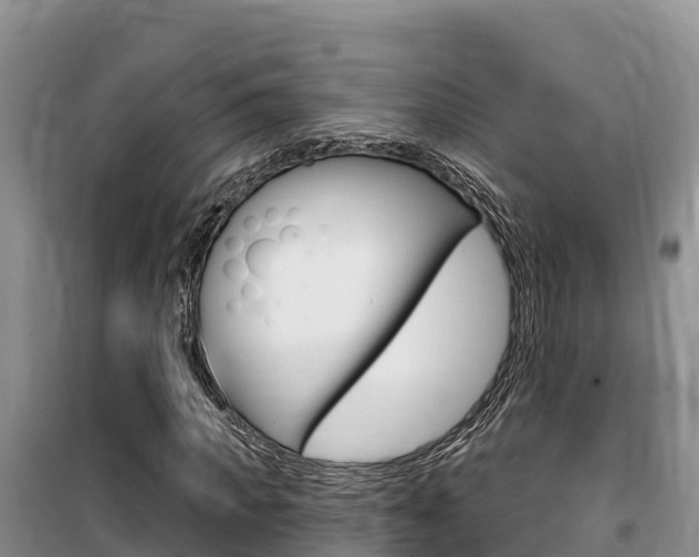 X0000100200917200805300743