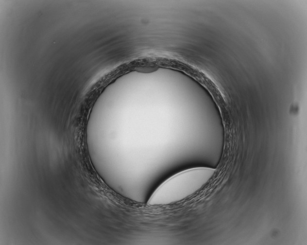 X0000100200919200805300743