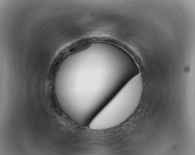 X0000100200920200805300743