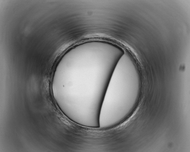 X0000100200921200805300743