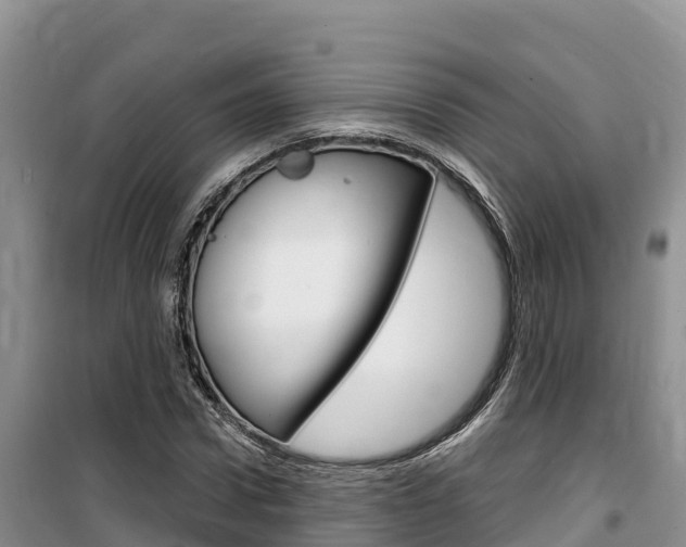 X0000100200922200805300743