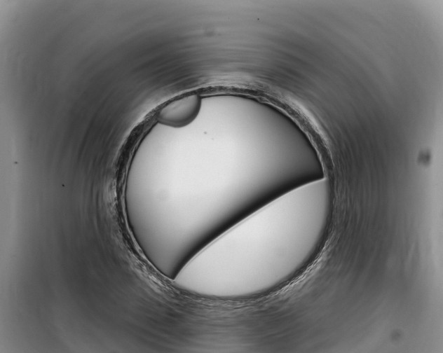 X0000100200923200805300743