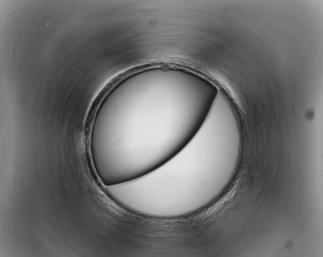 X0000100200924200805300743