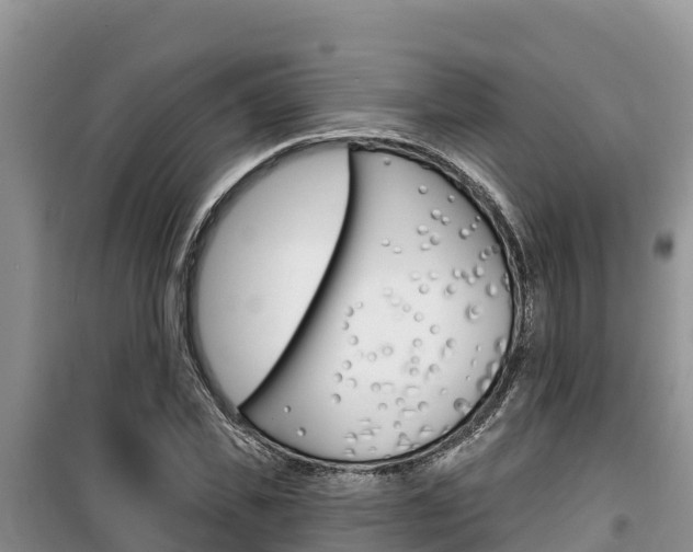X0000100200925200805300743