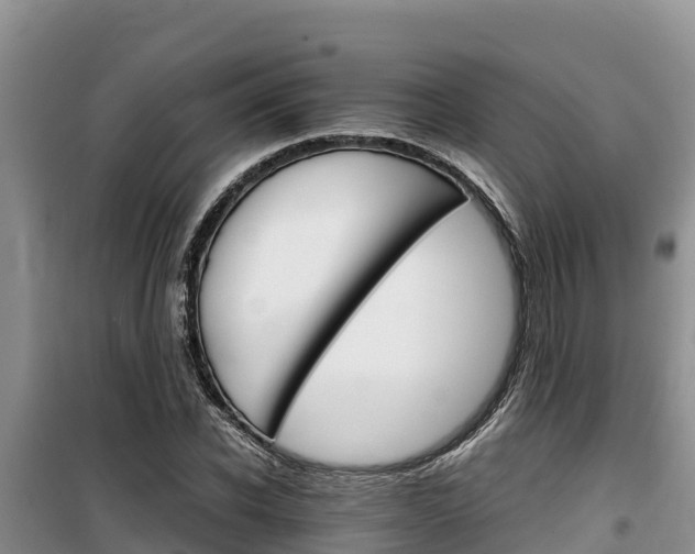 X0000100200926200805300743