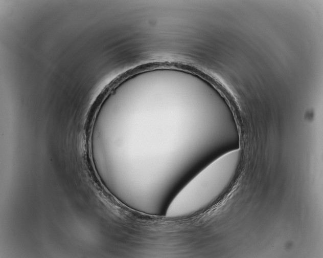 X0000100200927200805300744