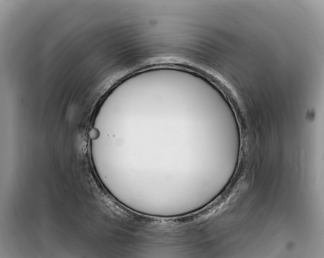 X0000100200929200805300744