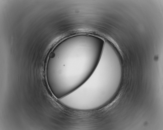 X0000100200930200805300744
