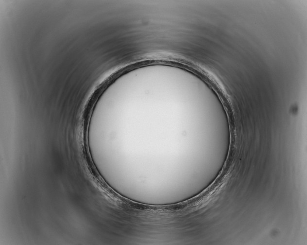 X0000100200931200805300744