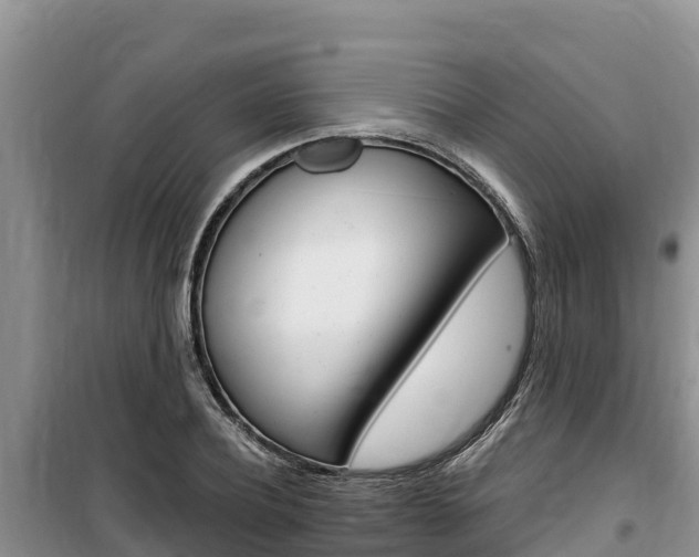 X0000100200932200805300744