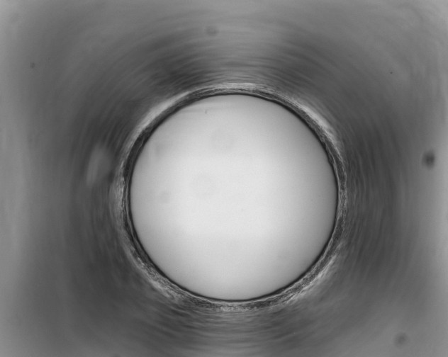 X0000100200933200805300744