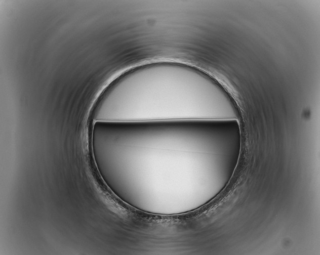 X0000100200934200805300744