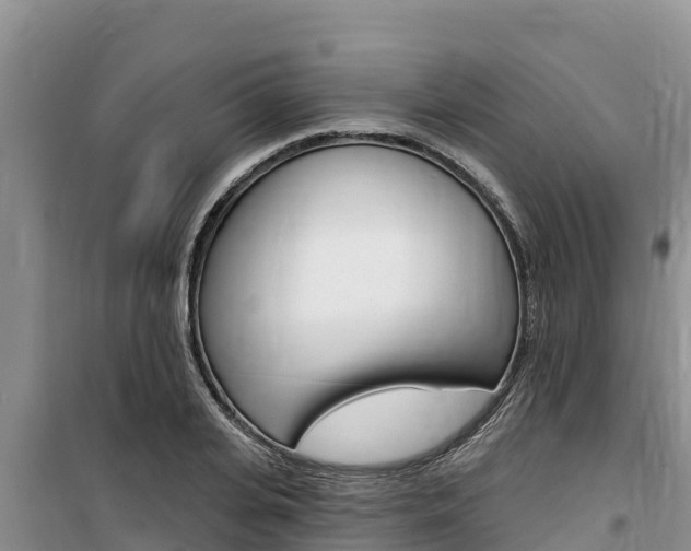 X0000100200935200805300744