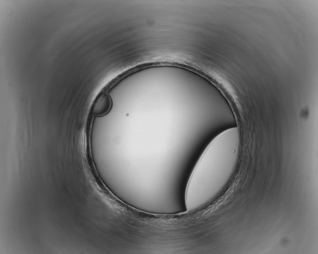 X0000100200936200805300744