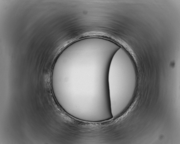 X0000100200937200805300744