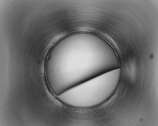 X0000100200938200805300744