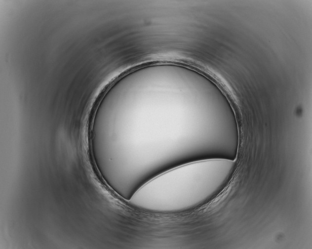 X0000100200939200805300744