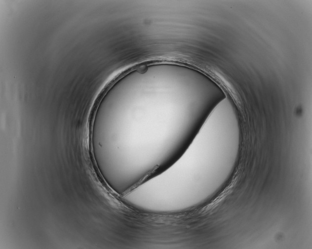 X0000100200940200805300744