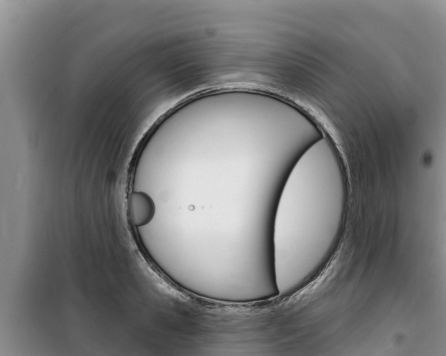 X0000100200941200805300744