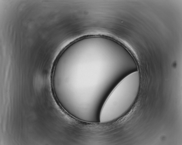 X0000100200943200805300744