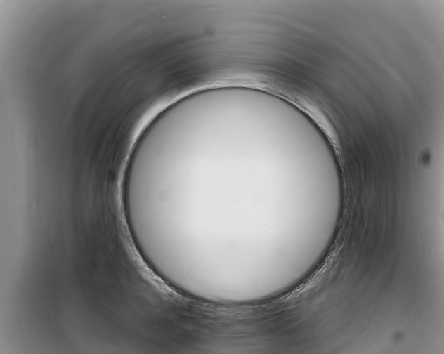 X0000100200944200805300744