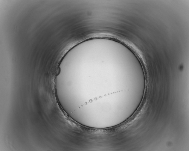 X0000100200945200805300744